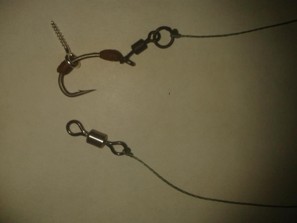 mv2 - 404964_146264515532751_1225023374_n.jpg